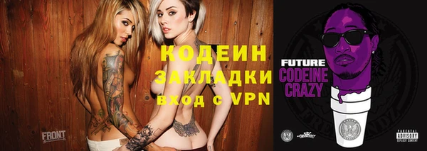 шишки Белоозёрский