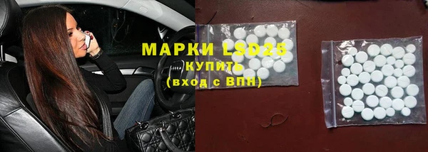 шишки Белоозёрский