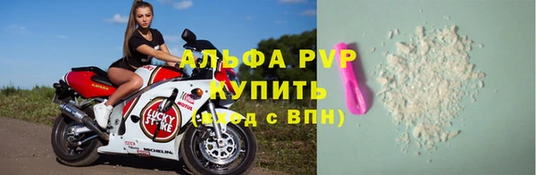 шишки Белоозёрский