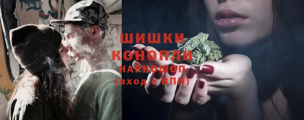 шишки Белоозёрский