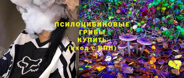 круглые Белокуриха