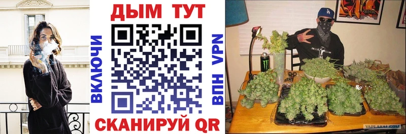 Конопля Bruce Banner  Пестово 